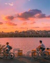 足球球赛直播比分-足球球赛直播比分，连接世界的绿茵激情